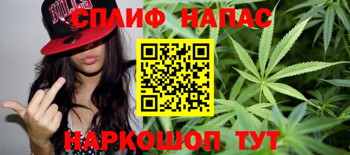Конопля план Гатчина